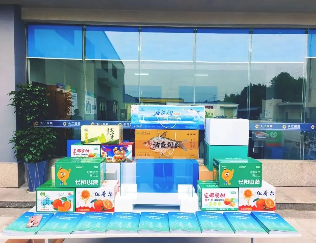 从“工业废渣”到“出海护鲜箱”   现代精工赋能固废高值化应用
